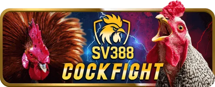 Cá cược có trách nhiệm bty523
