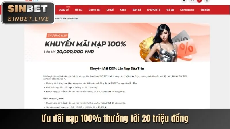 Hoàn trả hàng ngày bty523